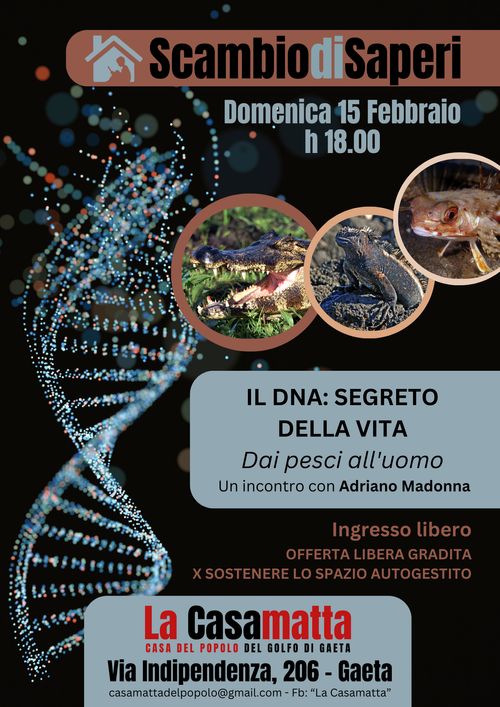 Scambio di Saperi - Il DNA